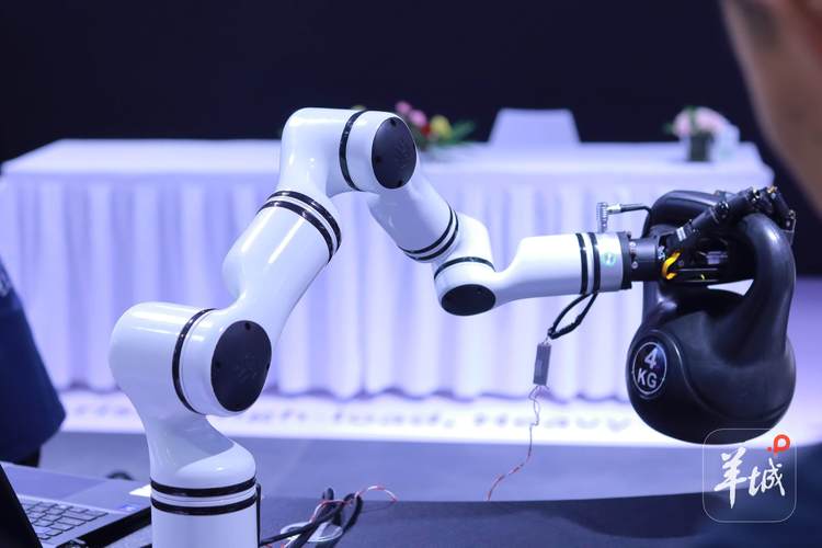 發布123款新產品，融資14.81億元 2025世界機器人大會展現行業強勁動能